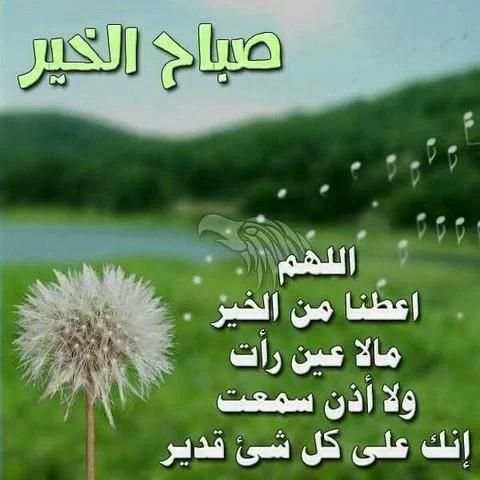 صباح الخير
‎ screenshot 4