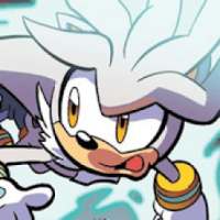 HD Wallpapers for Silver Hedgehog Lovers on 9Apps