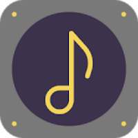 BG MUSIC PLAYER - MUSIC PLAYER