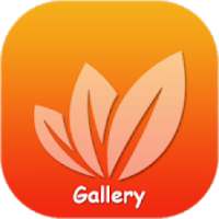 Gallery - Hide Photos & Video on 9Apps