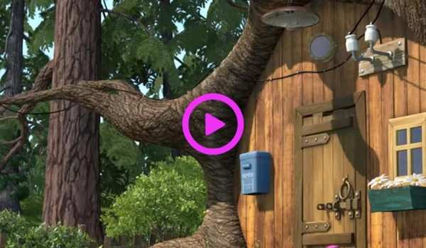 The Bear New Videos 2019 स्क्रीनशॉट 2