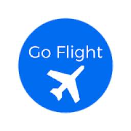 Go Google Flight