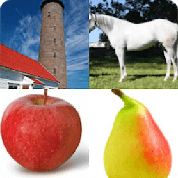 ikon Ce este in imagine ?