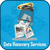 ikon Data Recovery Services