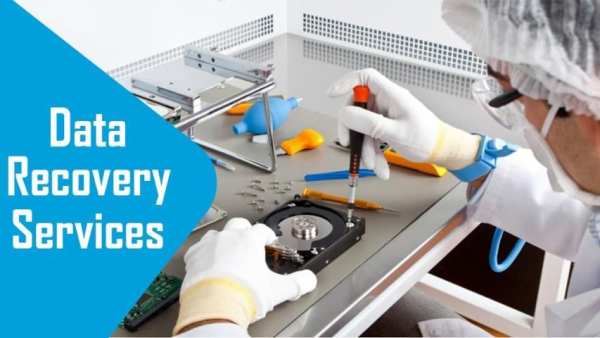 Data Recovery Services screenshot 4