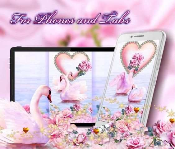 Swans Love Valentine Live Wallpaper screenshot 1