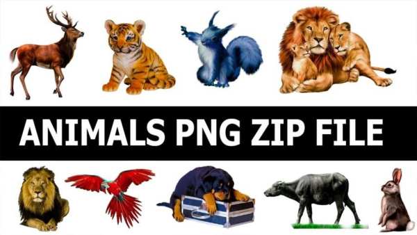 500+ Type PNG Backgrounds, New Editing Stocks screenshot 6