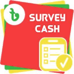 BD Survey Cash 3.2