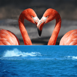 ikon Picture Match. Brain Game