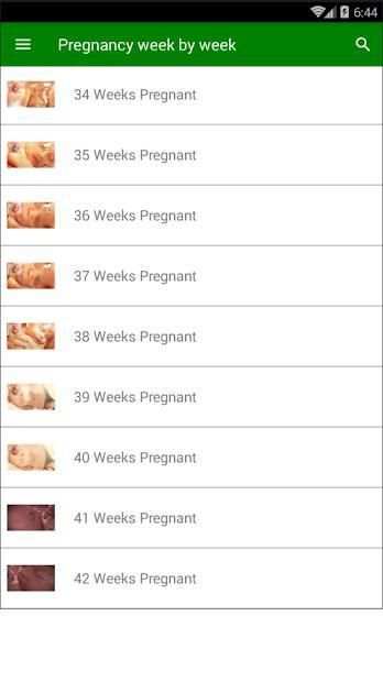 Pregnancy Week by week screenshot 1