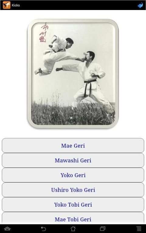 Karate in brief screenshot 16