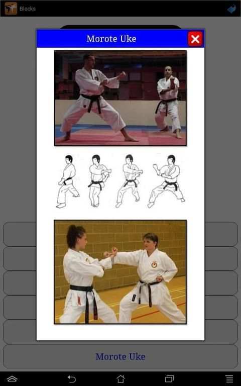 Karate in brief screenshot 13