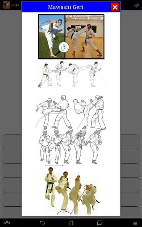 Karate in brief screenshot 15
