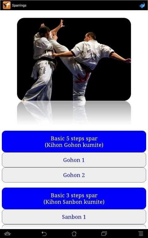 Karate in brief screenshot 12