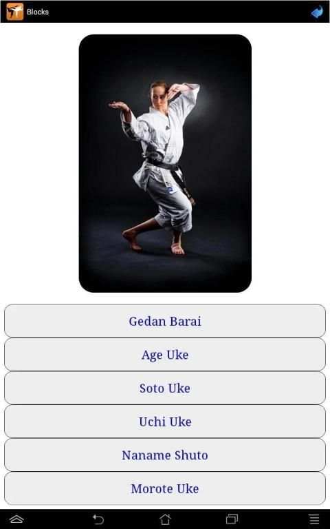 Karate in brief screenshot 14