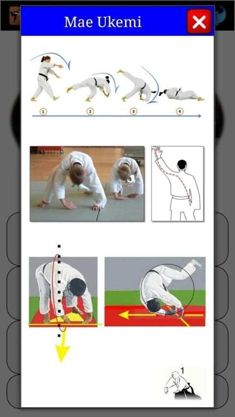 Karate in brief screenshot 21