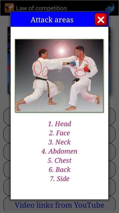 Karate in brief screenshot 19