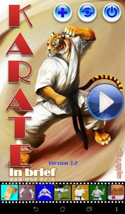 Karate in brief screenshot 8