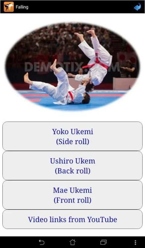 Karate in brief screenshot 4