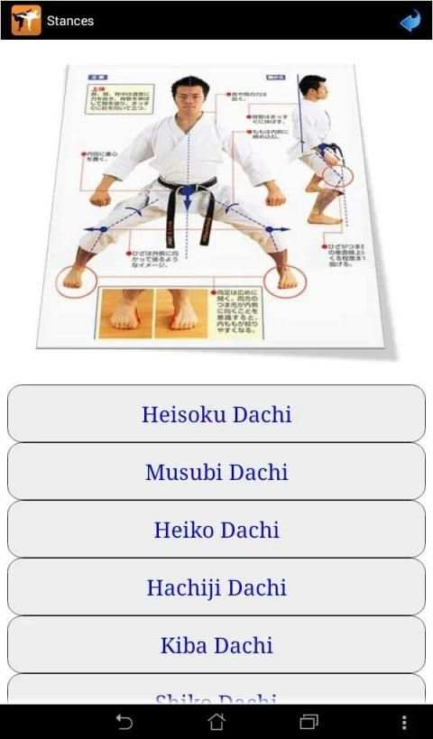 Karate in brief screenshot 3