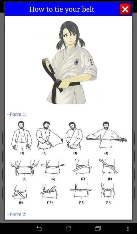 Karate in brief screenshot 5