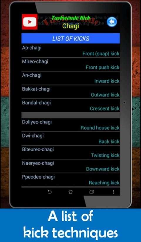 Taekwondo Pro screenshot 12