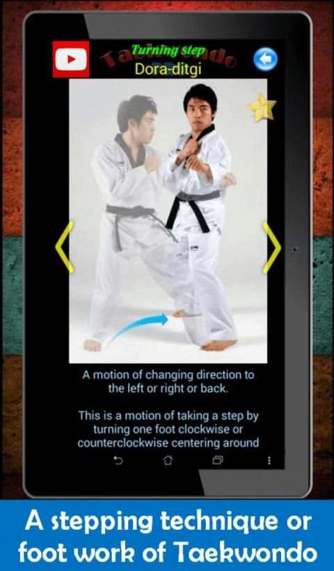 Taekwondo Pro screenshot 5