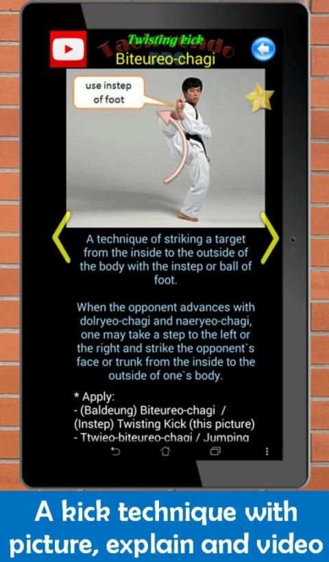 Taekwondo Pro screenshot 14
