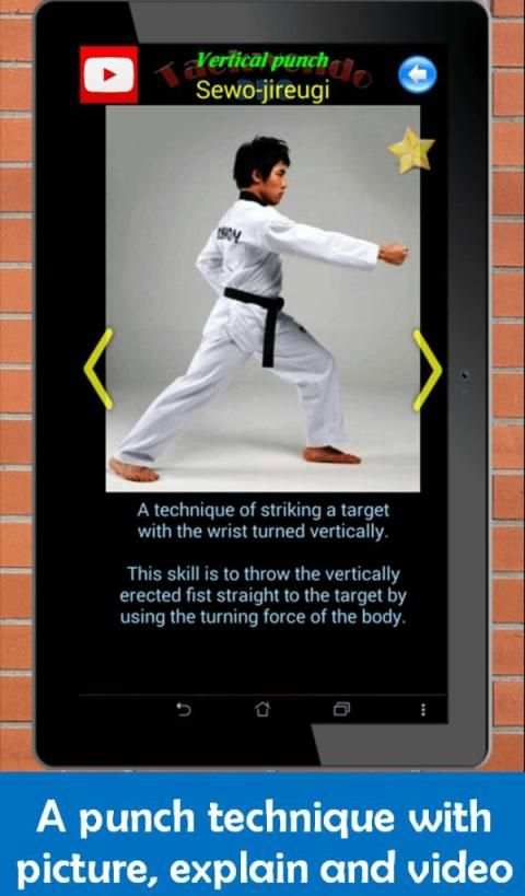 Taekwondo Pro screenshot 16