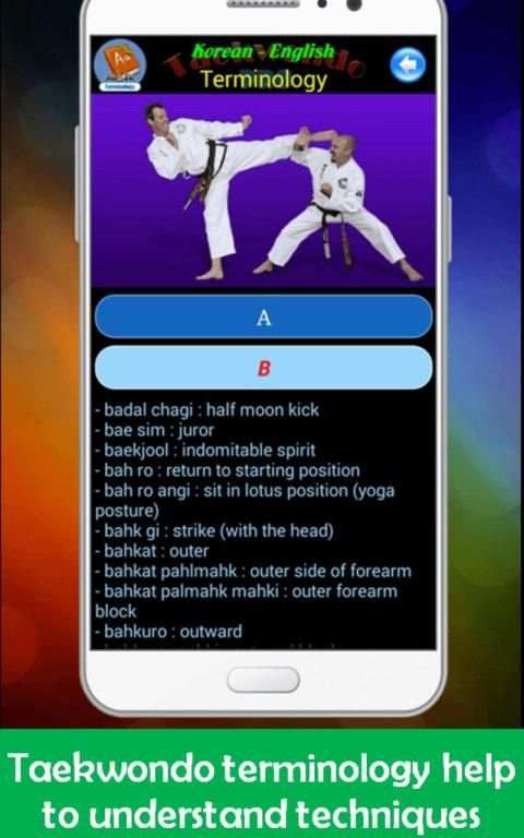 Taekwondo Pro screenshot 21