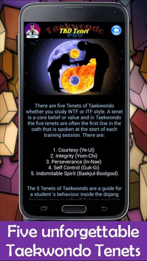 Taekwondo Pro screenshot 40