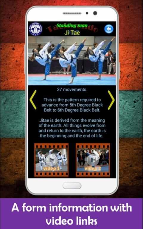 Taekwondo Pro screenshot 32