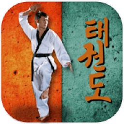 ikon Taekwondo Pro