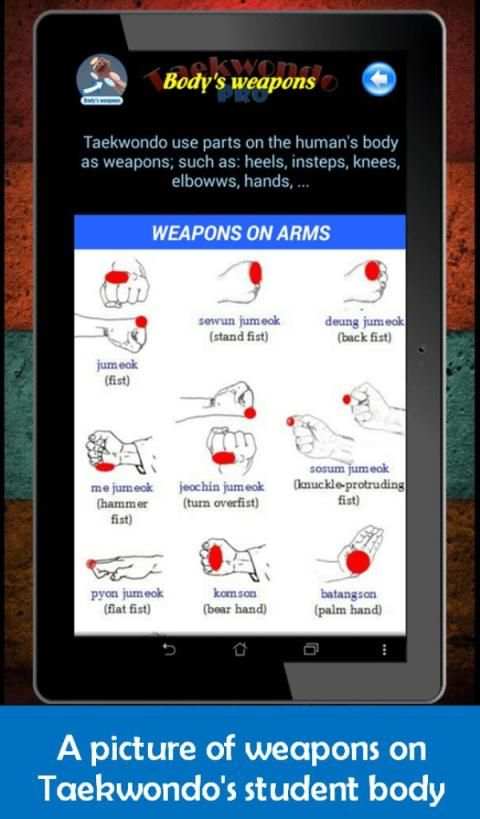 Taekwondo Pro screenshot 8