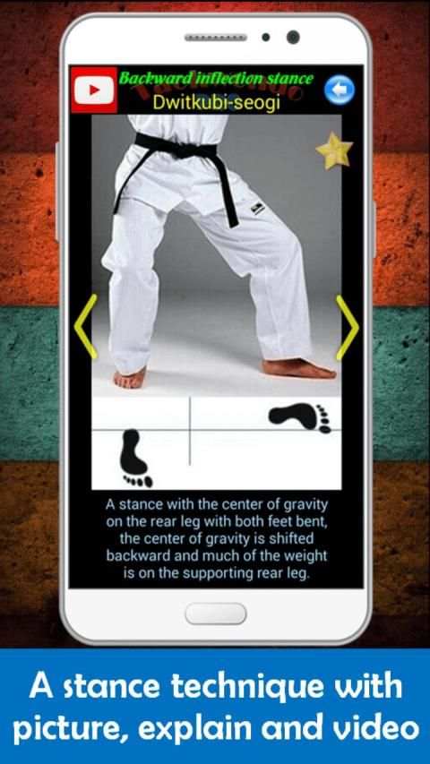 Taekwondo Pro screenshot 34