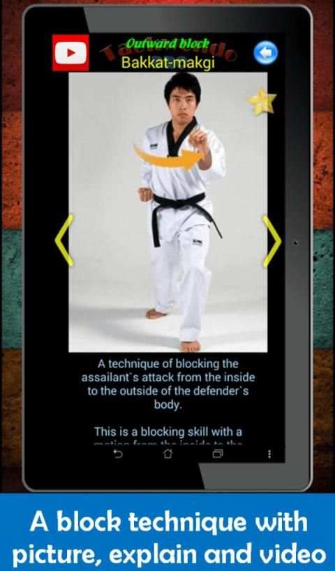 Taekwondo Pro screenshot 9
