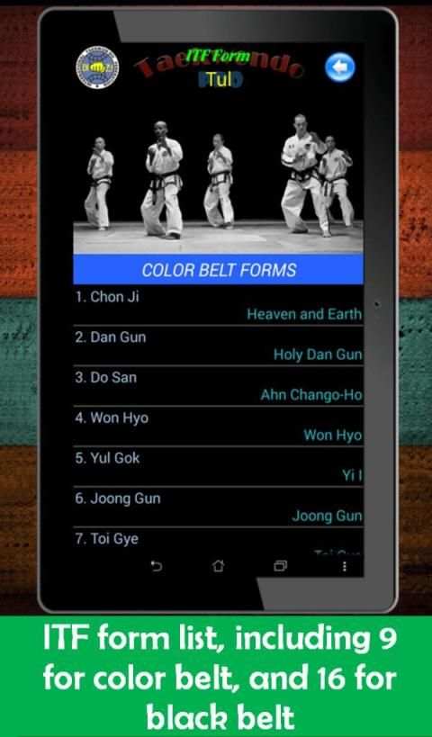 Taekwondo Pro screenshot 4