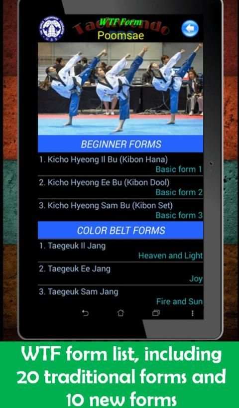 Taekwondo Pro screenshot 2