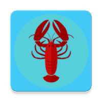 Horoscope - 2019 | Daily Horoscope | राशिफल 2019