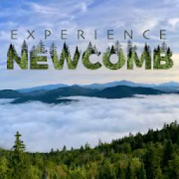 Experience Newcomb