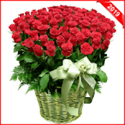 ikon Spring Flowers 2019