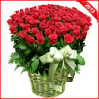 Spring Flowers 2019 on 9Apps