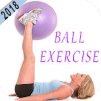 Ball Exercise Workout - Stability Ball Workouts on 9Apps