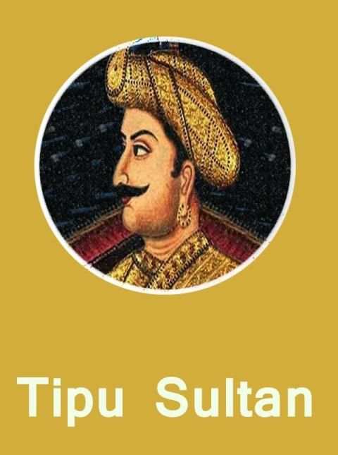 Tipu sultan screenshot 3