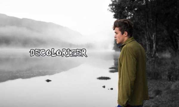 Decolorizer screenshot 1