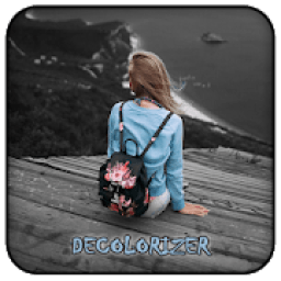 ikon Decolorizer
