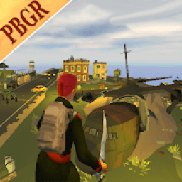 Swording GO - Polygon Buttle Grounds Royale icon