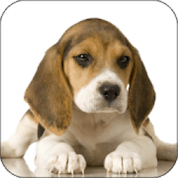 Dog Breeds आइकन