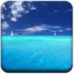 Calm Ocean Waves Sounds: Relax Music, White Noise