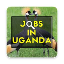 Jobs In Uganda - Best Uganda Jobs App